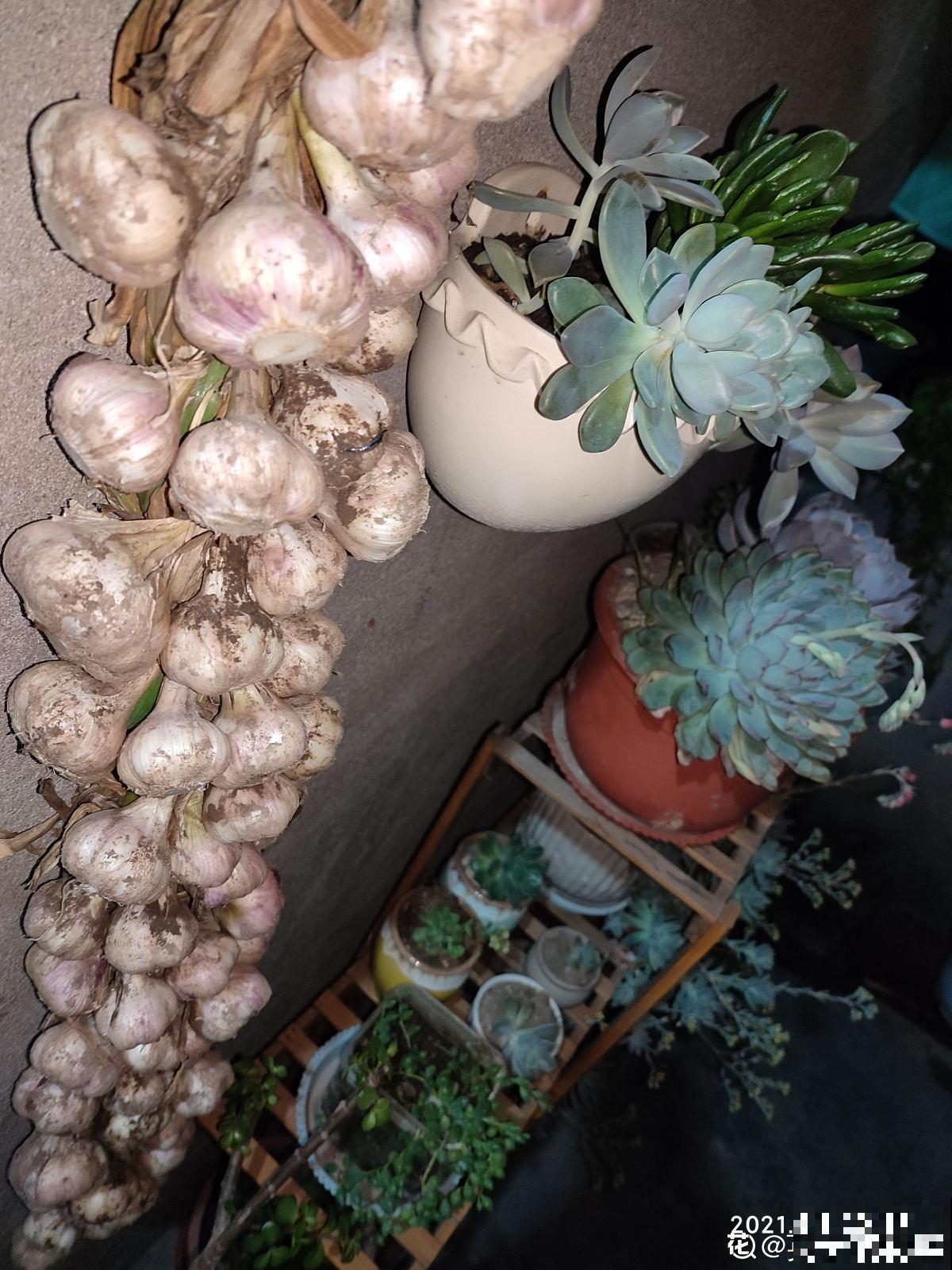 大蒜的7个妙用，一蒜在手，居家不愁