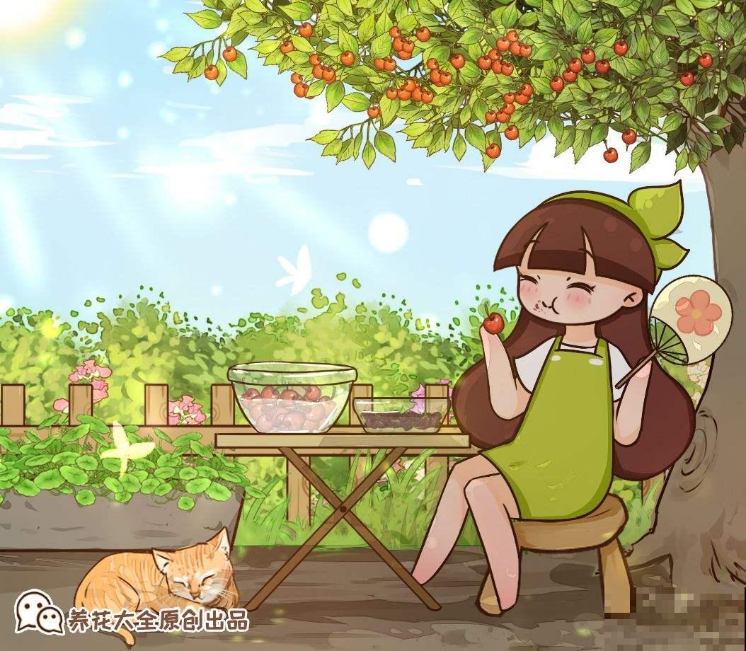 5个步骤，还你一盆樱桃盆栽，果实红得像宝石