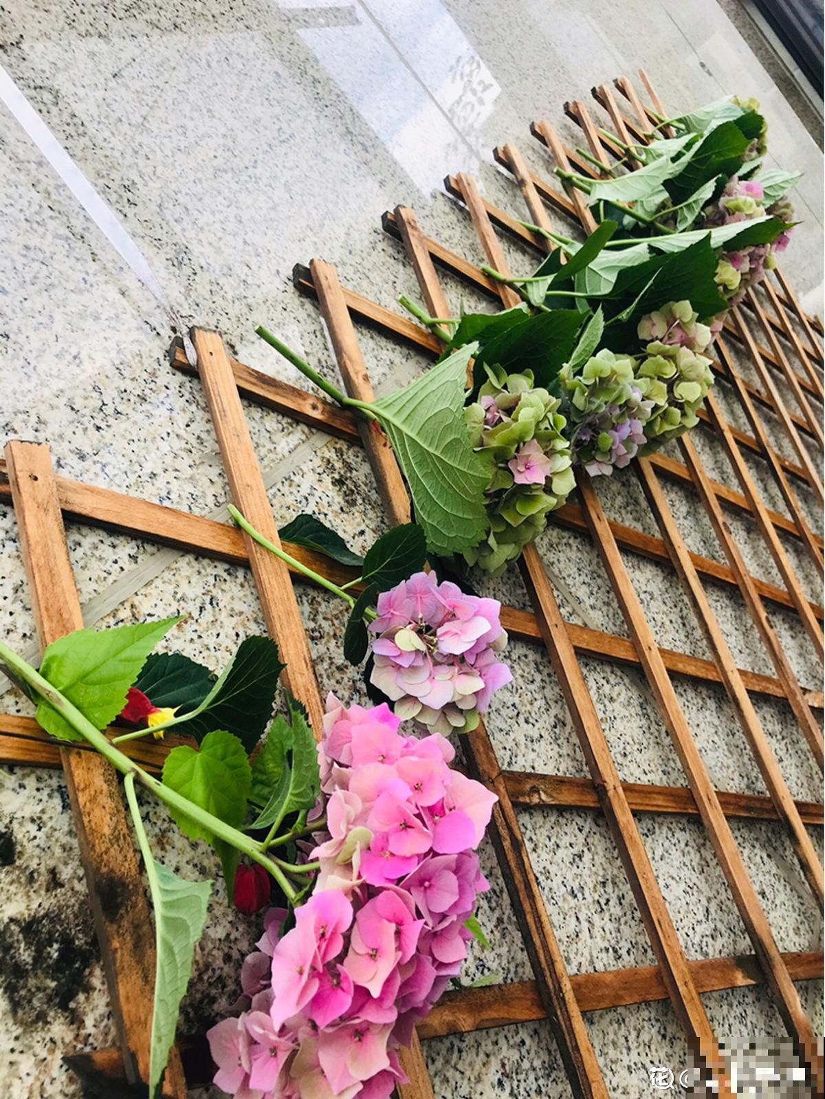 分不清永生花和干花？学会制作干花，让花期无限延长