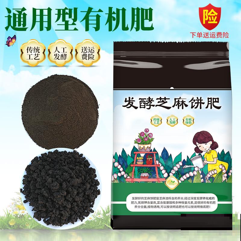 高温潮湿不宜养花?简单5步,打造“茉莉天堂” 高温潮湿不宜养花?简单5步,打造“茉莉天堂”