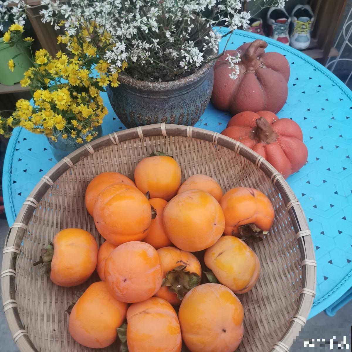 7种常见水果，秋天吃正是好时候，健康促消化