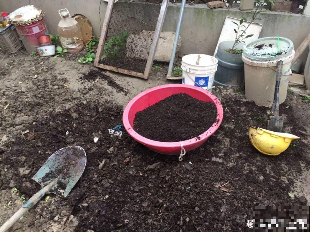 9种土别拿来养花,对花不好,容易黄叶烂根 9种土别拿来养花,对花不好,容易黄叶烂根