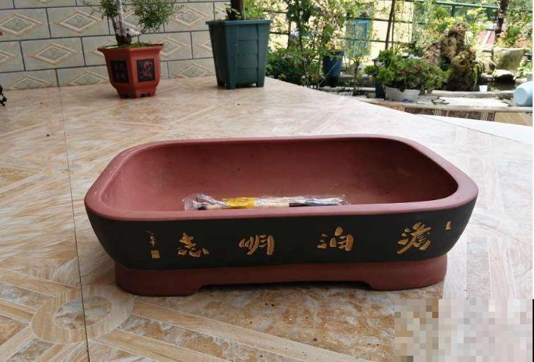 想养好花，选花盆很关键，5种材质花盆知识，快进来了解一下