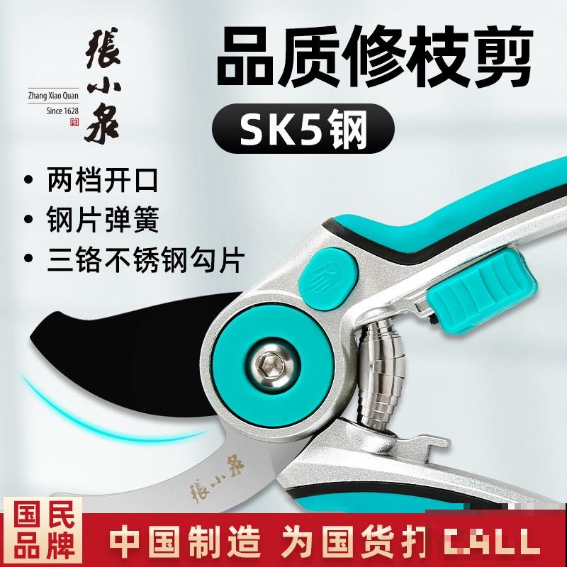 花朵中的“爆花机器”，初秋正是生长旺季，越“掐”花越多