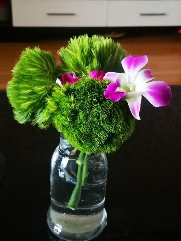 最近流行的简约风绿色，这3种植物，纳凉经典又好养