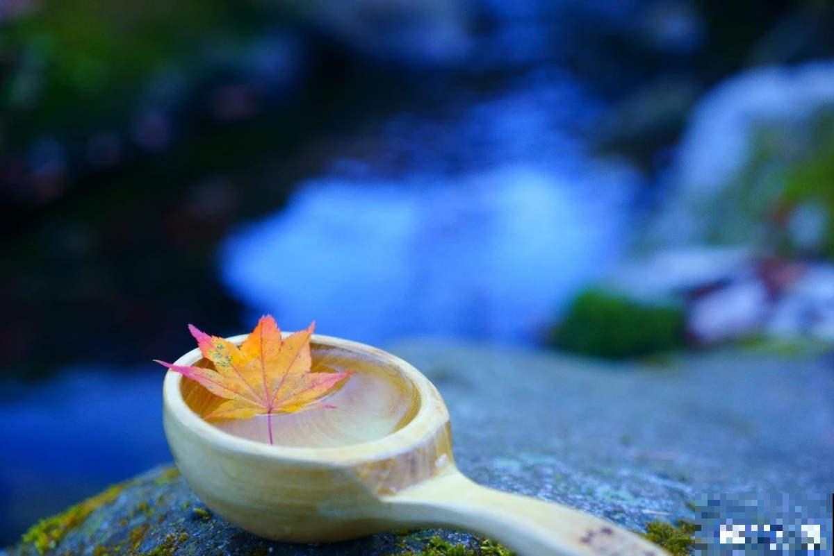 秋后最困扰的事儿,就是大把掉头发,6个妙招改善掉发 秋后最困扰的事儿,就是大把掉头发,6个妙招改善掉发