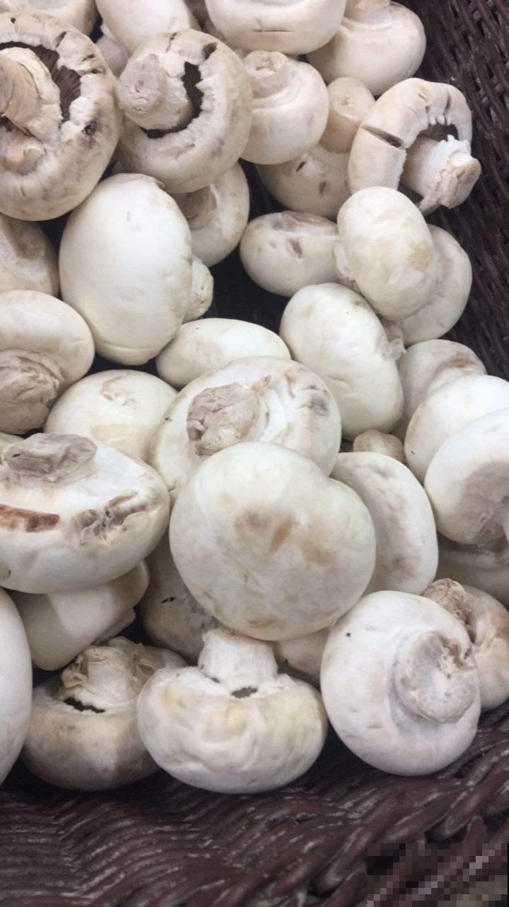 白露节气到,改变2点生活习惯,秋天才能健康度过 白露节气到,改变2点生活习惯,秋天才能健康度过