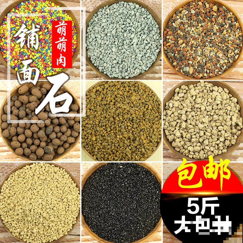 夏季养多肉，记住3个不要，轻松过夏