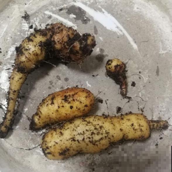 秋天喝点“滋润汤”,滋润身心,秋天不燥 秋天喝点“滋润汤”,滋润身心,秋天不燥