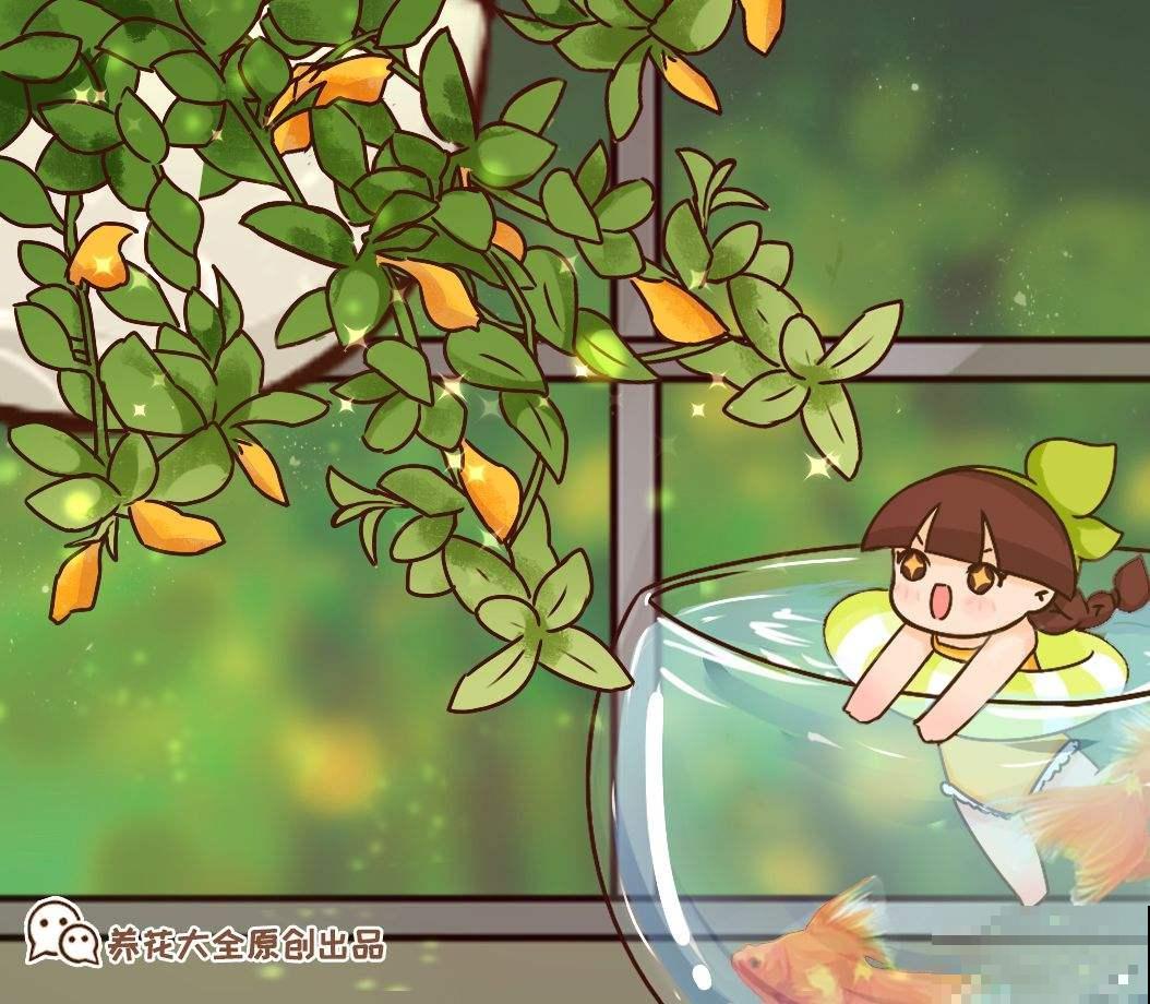 3种花天生可爱，有趣的人都爱养，满盆都是小动物