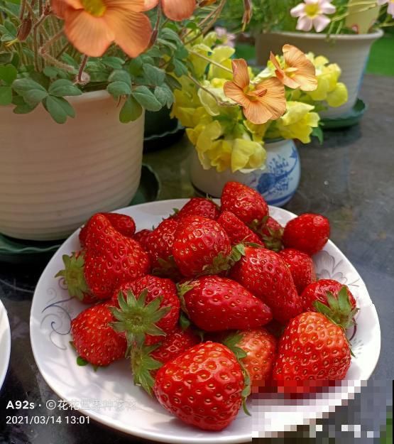 万能的淘米水，一滴都不要剩下，7种小妙招让你物尽其用