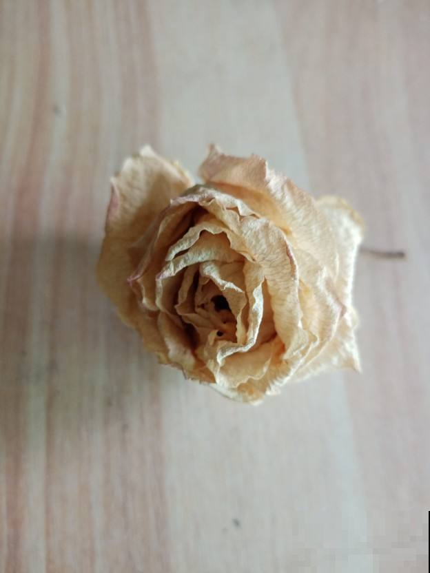 分不清永生花和干花？学会制作干花，让花期无限延长