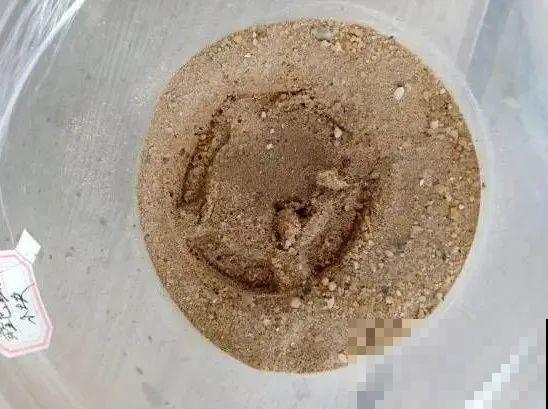 三伏天,8种花进入“鬼门关”,切莫大意 三伏天,8种花进入“鬼门关”,切莫大意