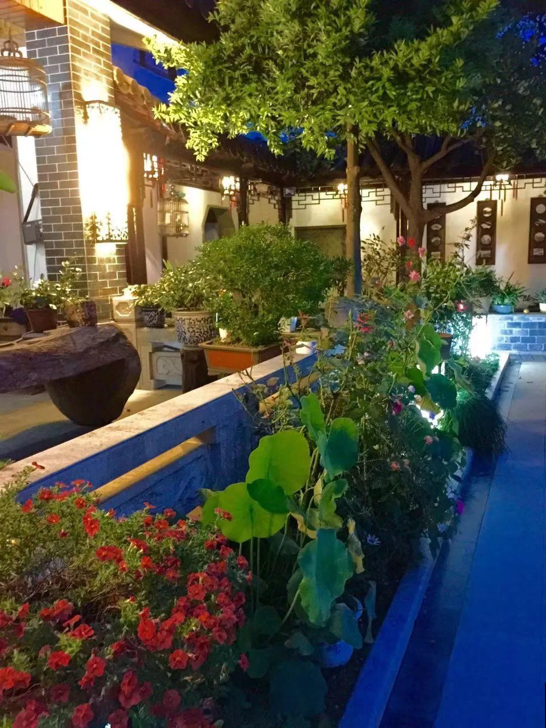 有个小院种种花，听风看雨，满眼花木