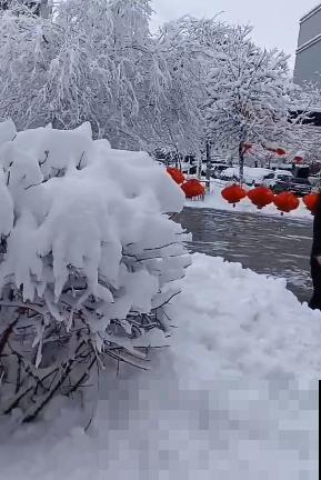 常见4种鞋子，看文章前不会清洗，看完后洗完像新的