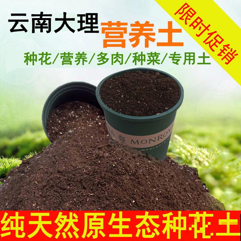 一棵石榴树，只需6步养护，就能边赏花边吃果