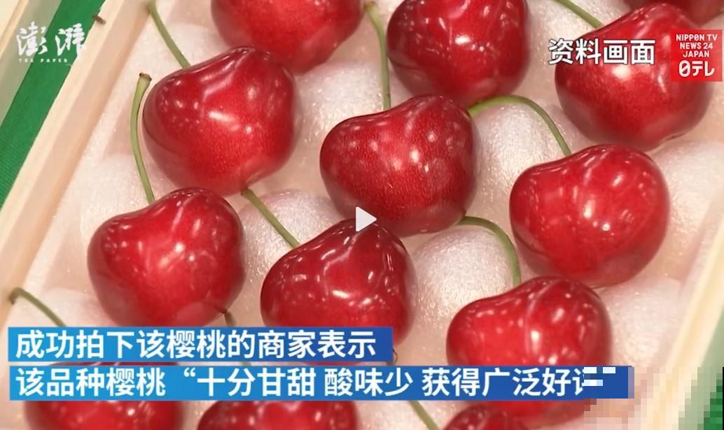 15万块钱的一个蜜瓜，到底有多好吃？