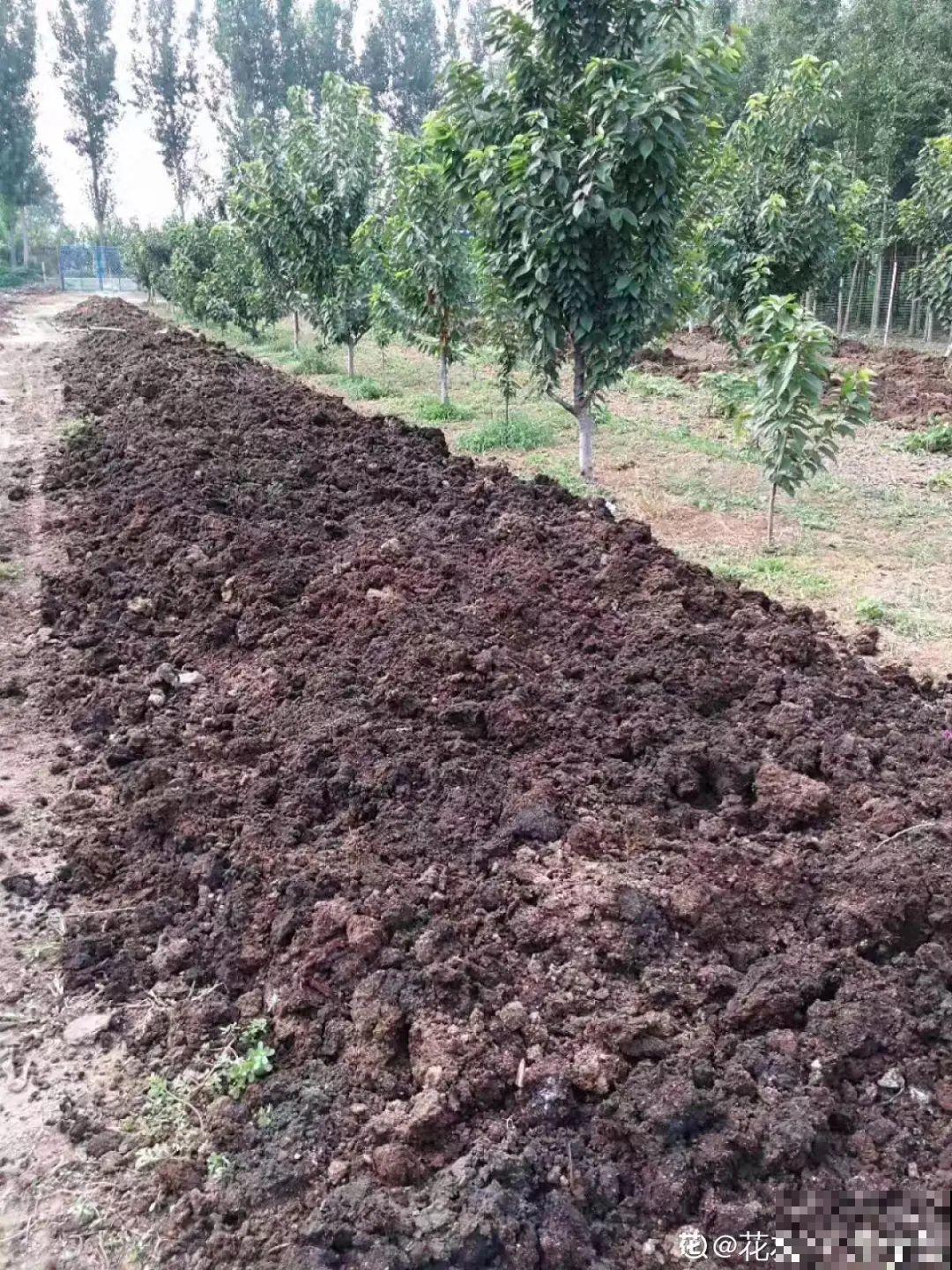 7种有机肥, 给花吃一点,花长得特旺 7种有机肥, 给花吃一点,花长得特旺