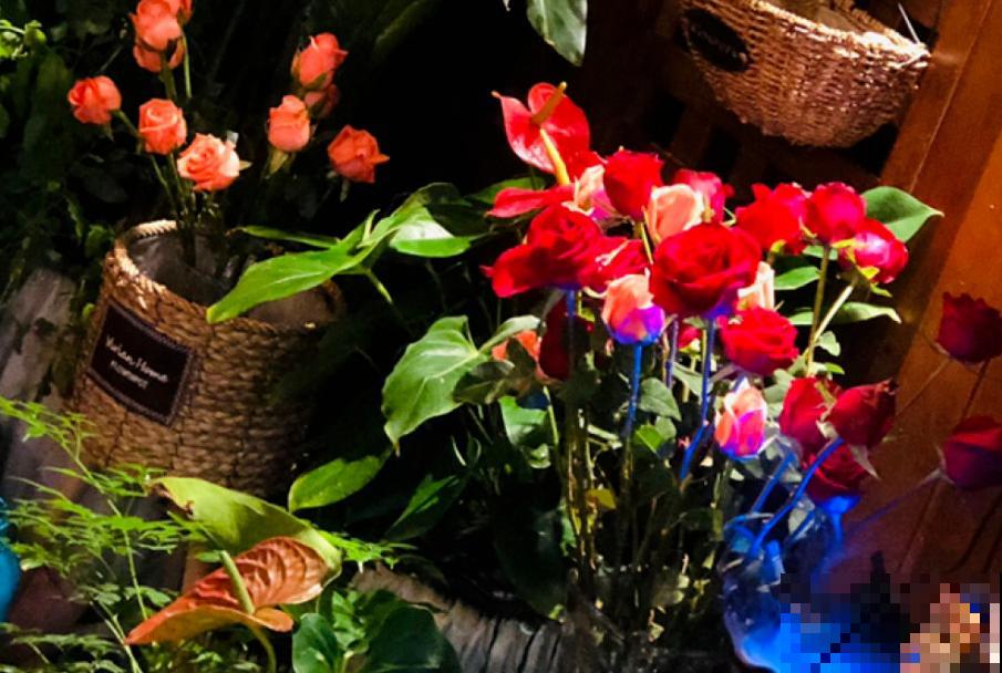 3个步骤，让你的植株远离“不开花”，进来看看吧