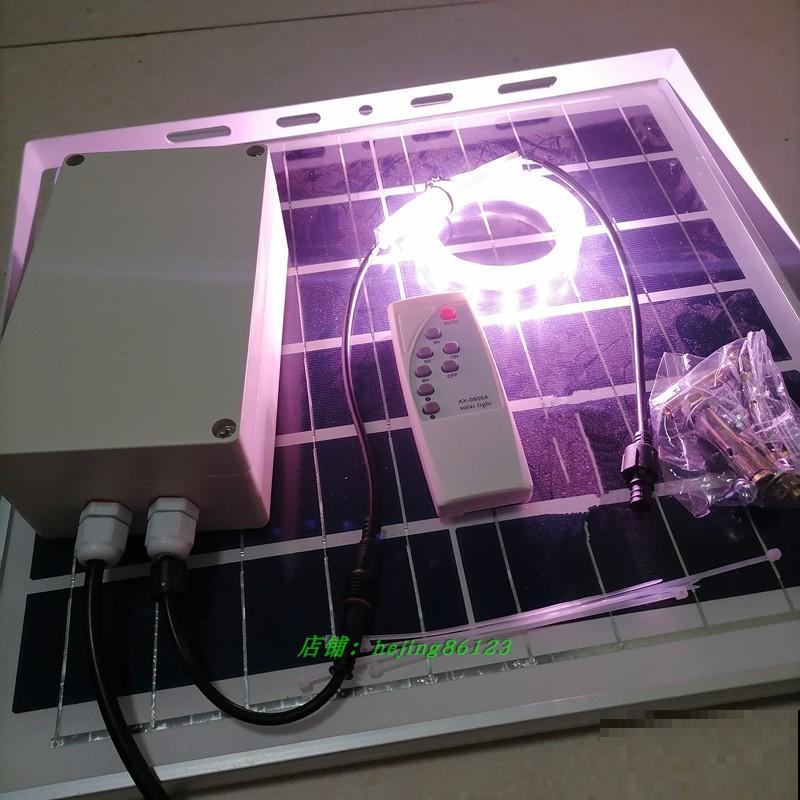 雨季多肉，烂根化水没得救，注意4点，多肉雨季变“平安季”