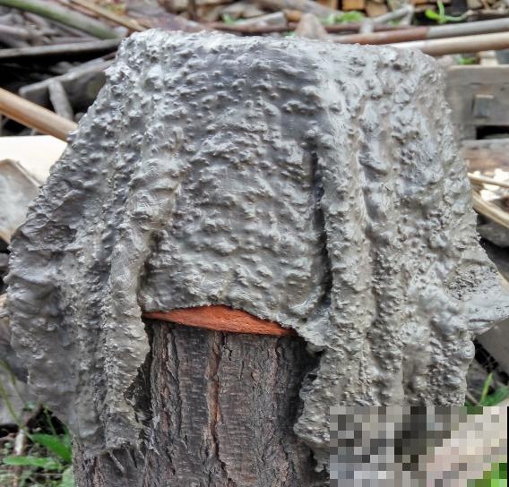 水泥也是养花好东西,千万别丢掉,省不少钱 水泥也是养花好东西,千万别丢掉,省不少钱