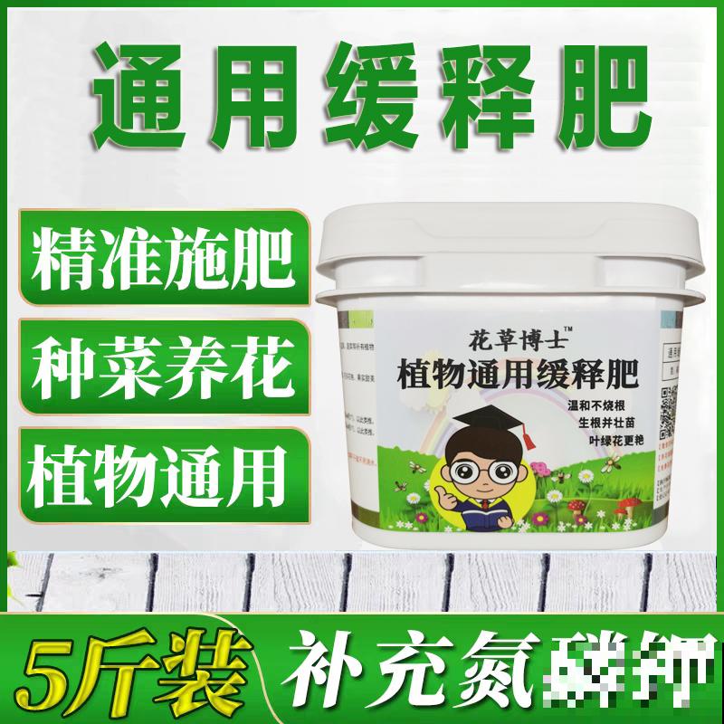 家里的花都夏眠，种这3种花，照样满盆开花