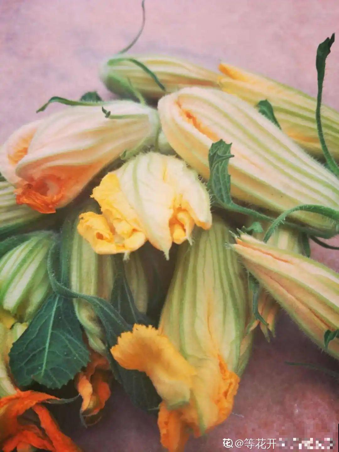 家门口的木槿花，裹上面炸一炸，外酥里嫩香喷喷