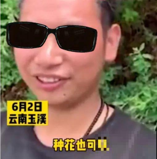 男子追在大象后，捡一筐大象粪，居然是为了养花