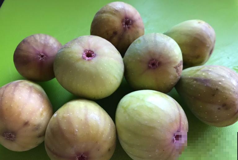 无花果一吃就上瘾，又软又甜，止咳润肺助消化！