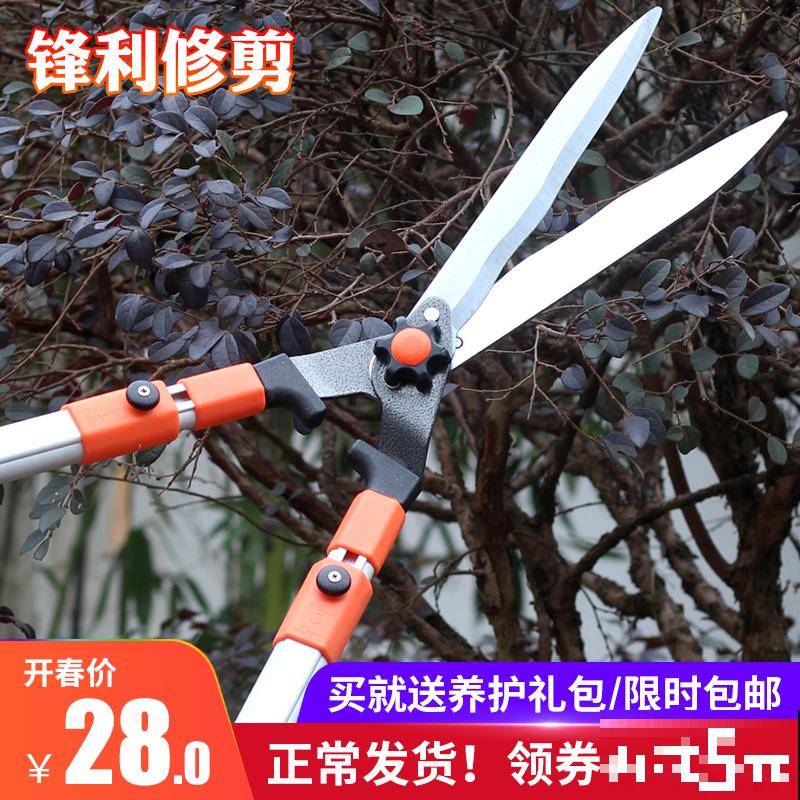 高人气三角梅,教你5步,摆脱只会买不会养 高人气三角梅,教你5步,摆脱只会买不会养