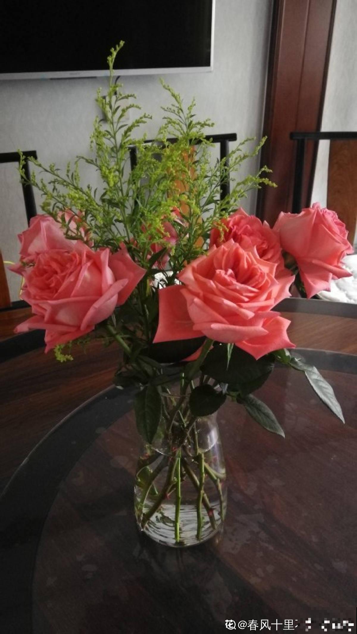 又是一年七夕,买玫瑰不如亲手养玫瑰,送给心爱的TA更有心意 又是一年七夕,买玫瑰不如亲手养玫瑰,送给心爱的TA更有心意