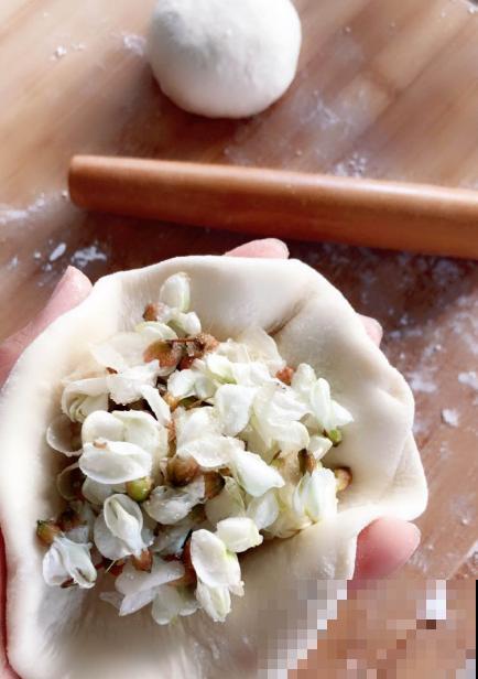 槐树好处多，但是很少有人种院里，究竟为啥？