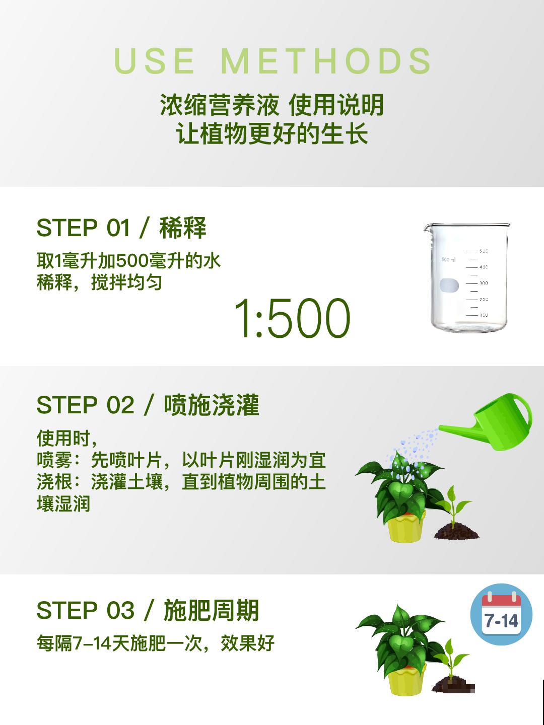 夜晚开放的昙花太美了,拿出相机记录分享,惹众人羡慕 夜晚开放的昙花太美了,拿出相机记录分享,惹众人羡慕
