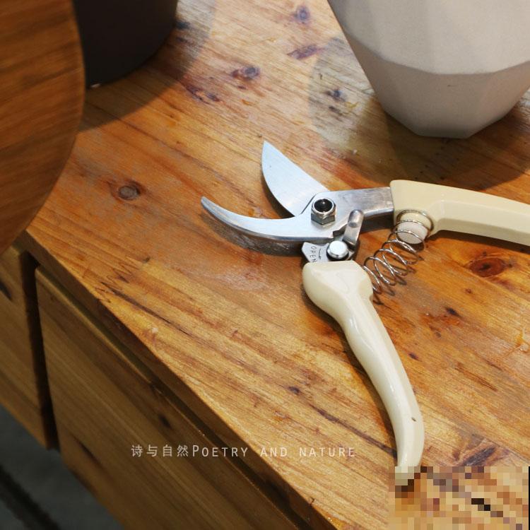 家里养花长不好？看好5个要点，小白也能把花养好看