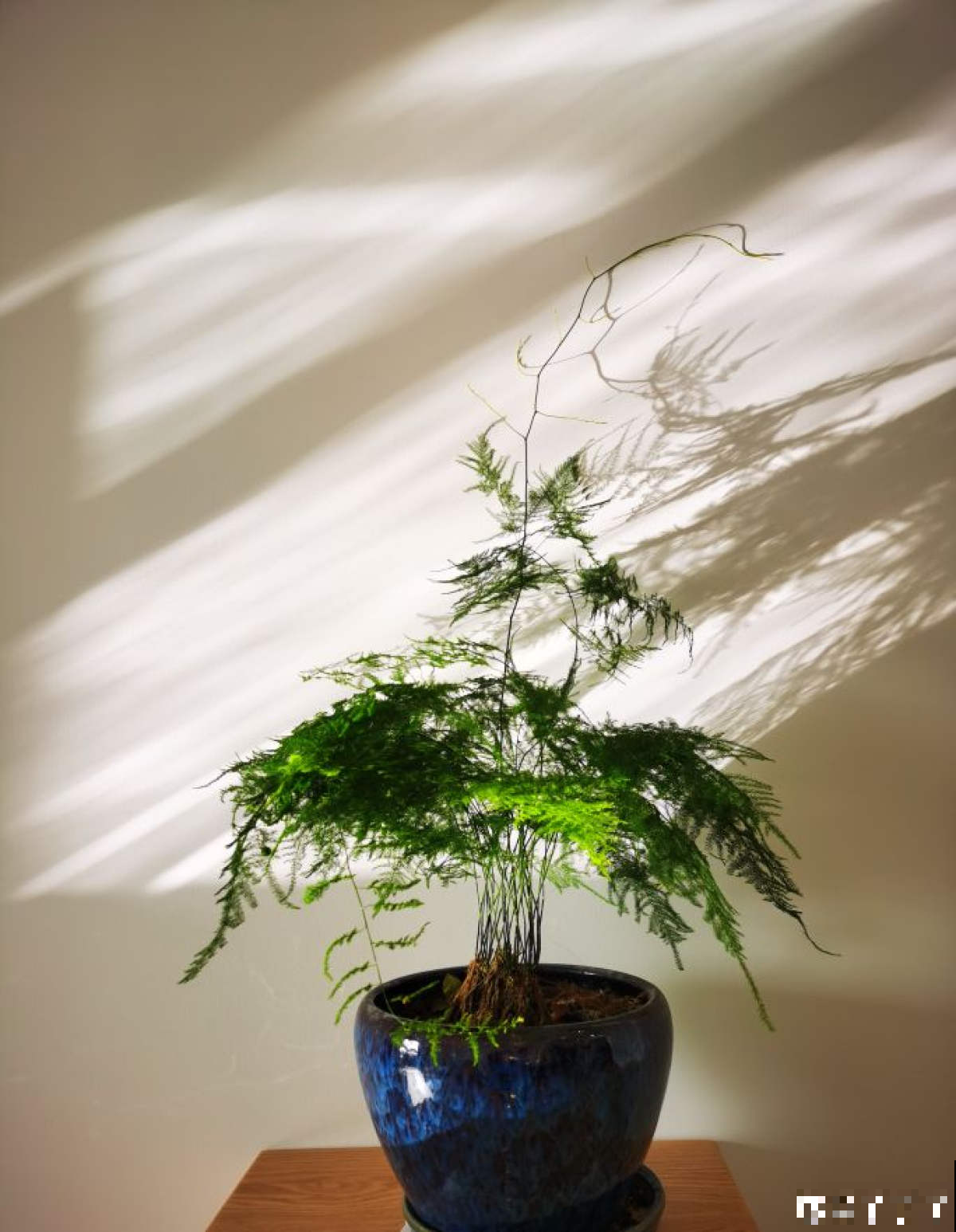 教师节来临，准备这8种花，陪老师温暖过节