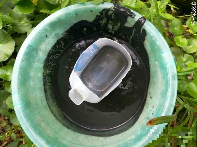 9种土别拿来养花,对花不好,容易黄叶烂根 9种土别拿来养花,对花不好,容易黄叶烂根