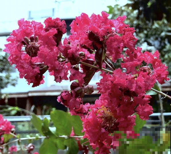 白露节气到,改变2点生活习惯,秋天才能健康度过 白露节气到,改变2点生活习惯,秋天才能健康度过