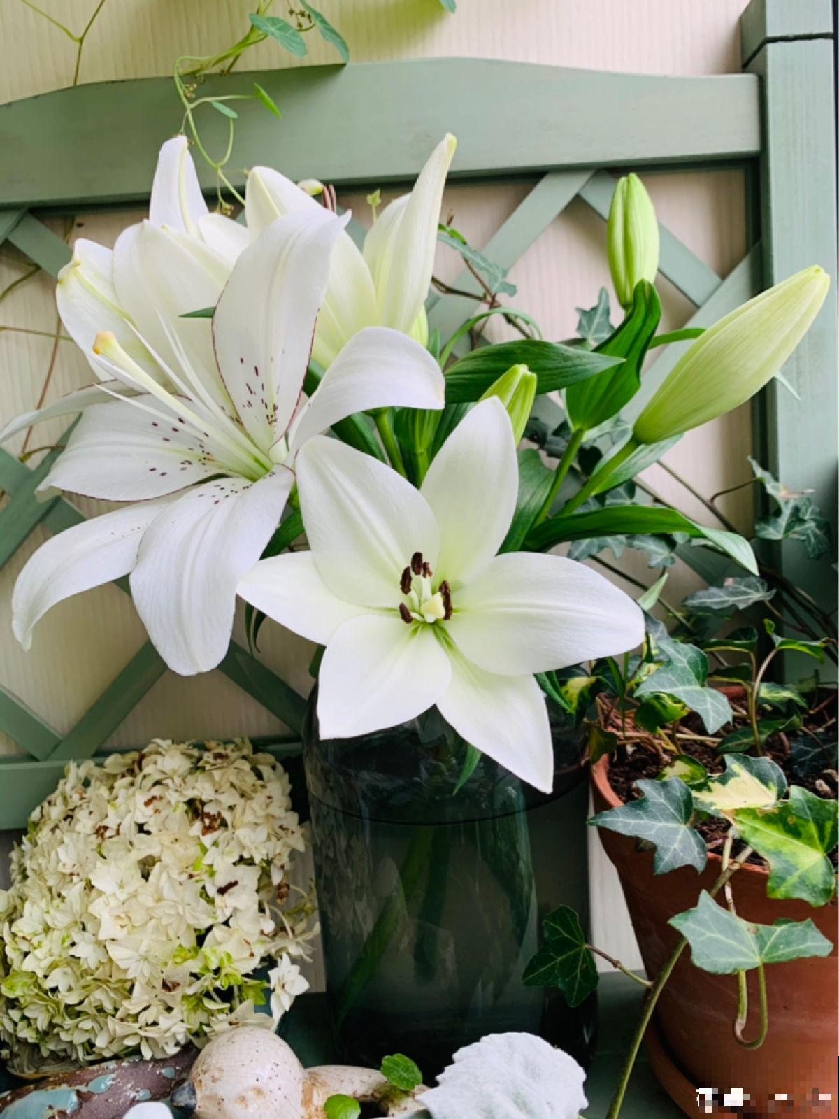 入秋后太燥，记住秋季饮食禁忌，越吃越健康