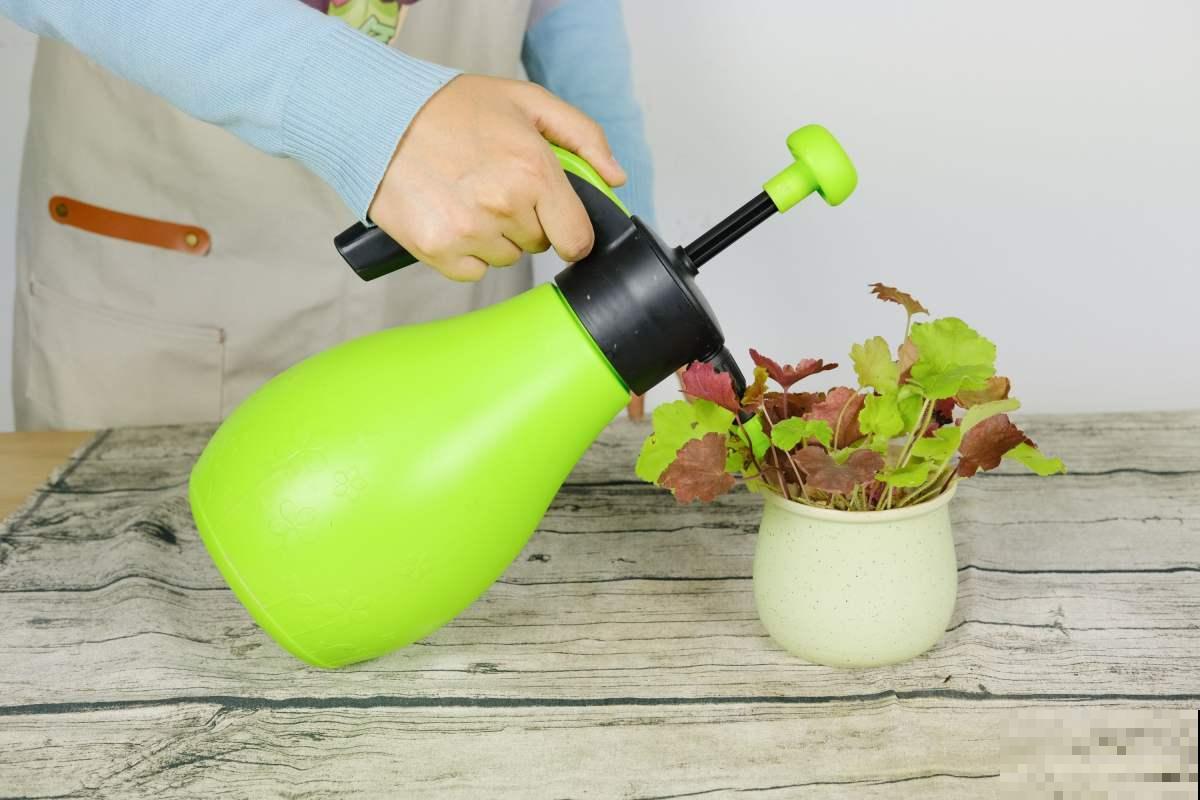 秋天是养花新高峰,院子赶紧种上4种花,美得像幅画 秋天是养花新高峰,院子赶紧种上4种花,美得像幅画