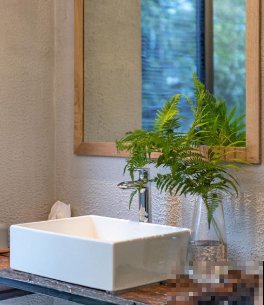 秋天养盆“杀菌花”，香味四溢增加湿度，还能净化室内空气