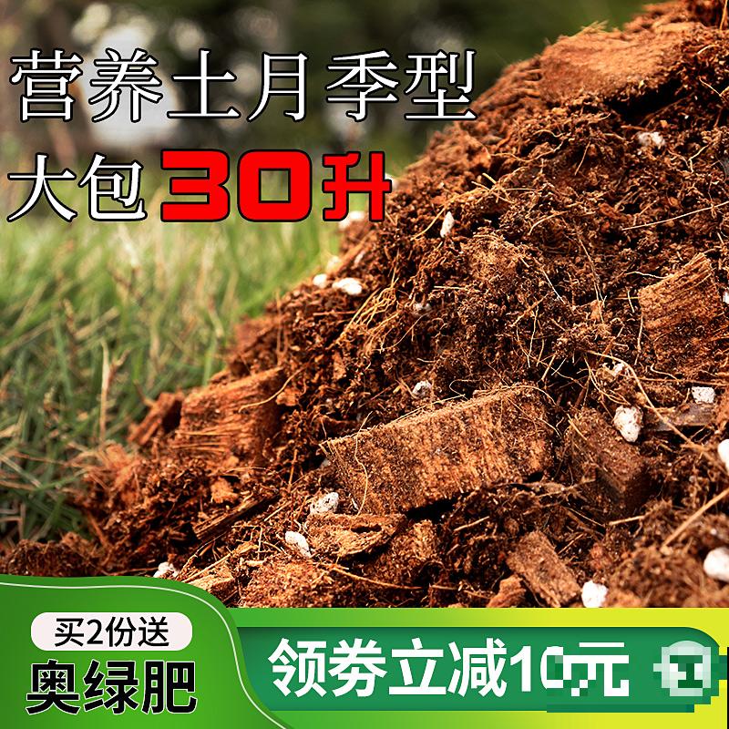 养月季单株不过瘾，简单做好5步，满墙都是月季花