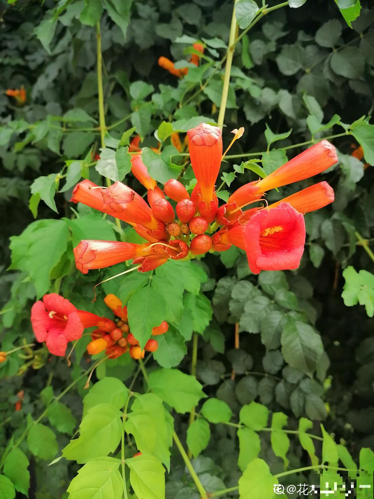 10个人生道理，年过半百的人更能理解，你赞同吗