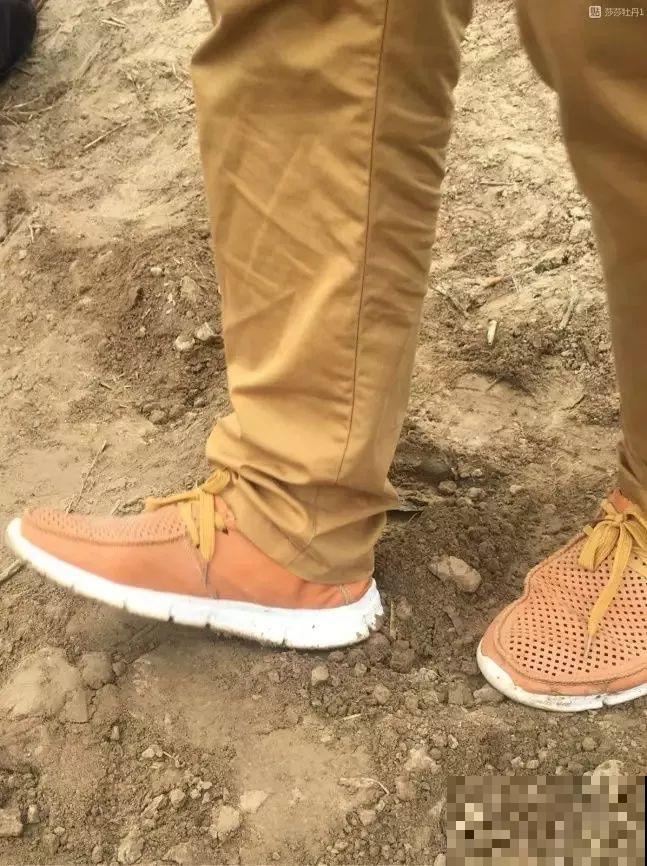 一年只能种一次的花,开花富贵寓意吉祥,堪称“花中宰相” 一年只能种一次的花,开花富贵寓意吉祥,堪称“花中宰相”