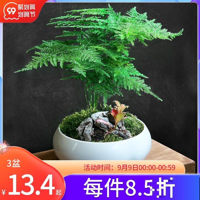 教师节来临，准备这8种花，陪老师温暖过节