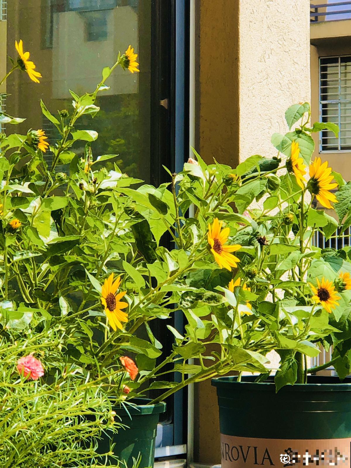 人的年纪越大，4件事情更要想开，生活才会更加如意