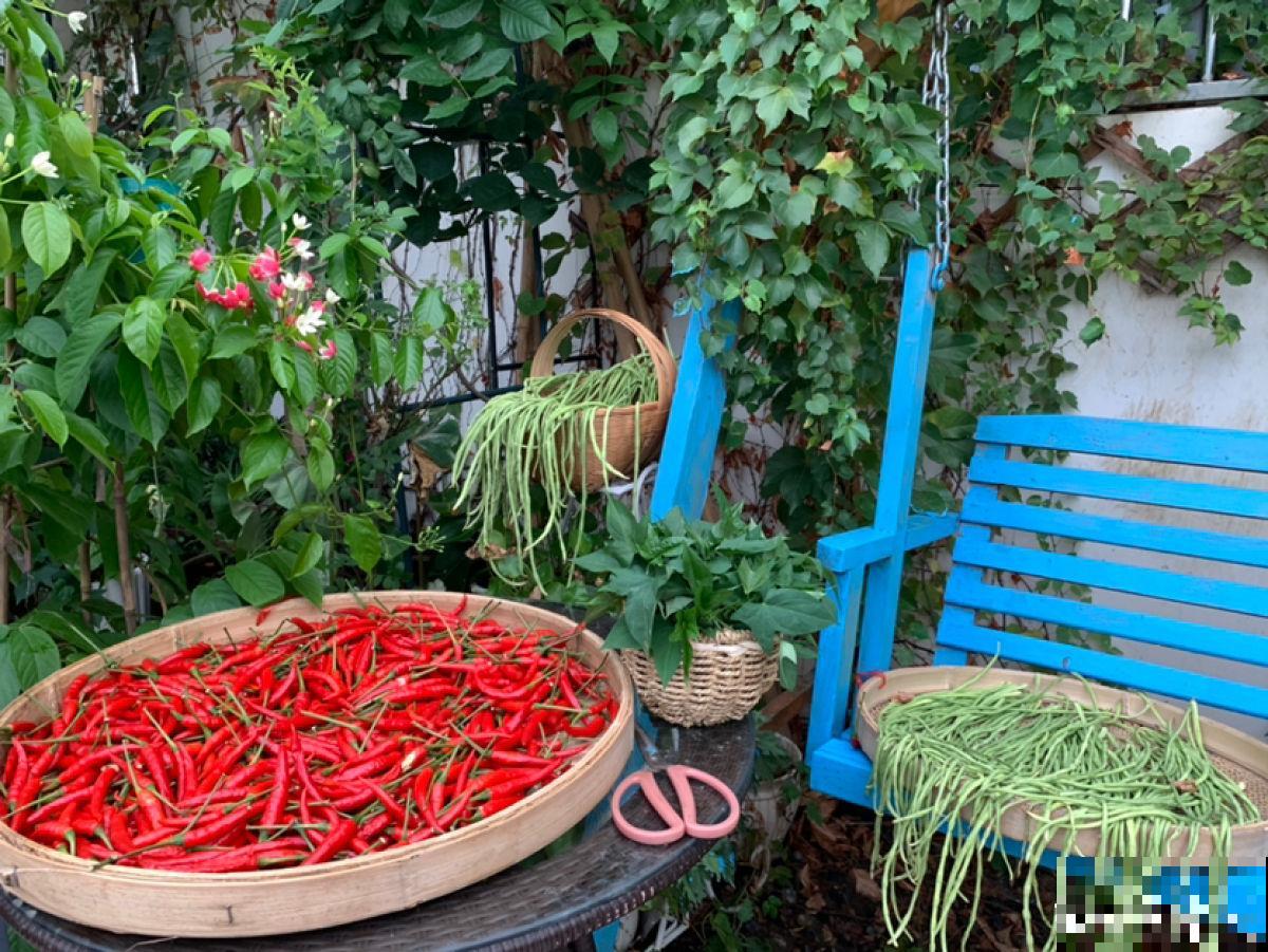 秋天又乏又燥,做好5件事,有效缓解乏和燥 秋天又乏又燥,做好5件事,有效缓解乏和燥