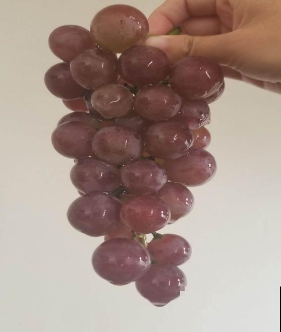 2种方法自制葡萄干，吃起来放心，成就感满满