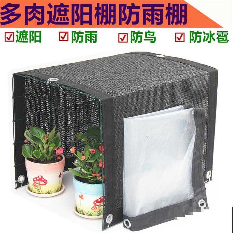 雨天养花需注意，想要花朵不生病，5点要做好