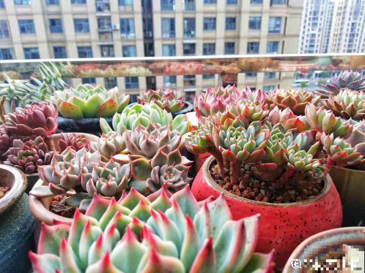 秋天又乏又燥,做好5件事,有效缓解乏和燥 秋天又乏又燥,做好5件事,有效缓解乏和燥