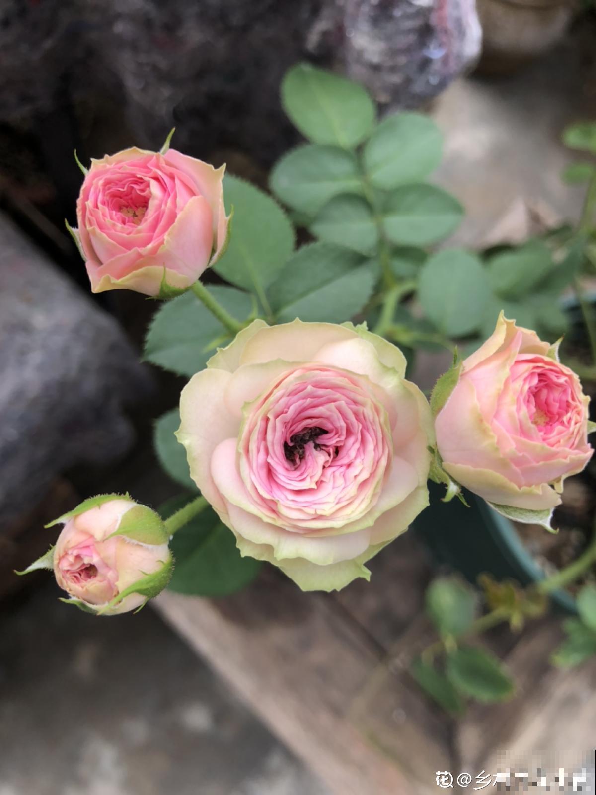 10个人生道理，年过半百的人更能理解，你赞同吗